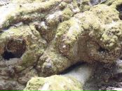 Юлія Потієвська фотография #26 (источник - https://vk.com/id2889548)