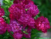 Фотография Сысоевой Ольги