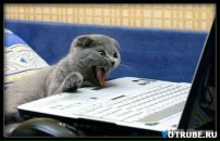 Фотография Окрашивания Нижнекамск Елены Пермяковы