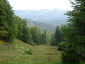 Ірина Онисько фотография #10 (источник - https://vk.com/id6258703)