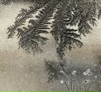 Фотография Алмазкина Владислава