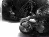 Фотография Романовой Татьяны