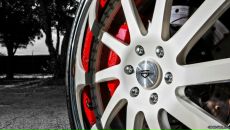 Фотография Пушнова Артёма