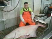 Фотография Александровича Александра