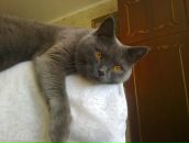 Фотография Шеффер Кристины