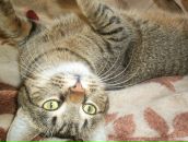 Валерій Матіїшин фотография #8 (источник - https://vk.com/id13193276)