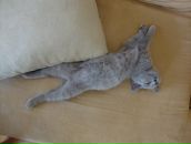 Людмила Гейнц фотография #16 (источник - https://vk.com/id97044397)