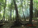 Лєрка Еклєрка фотография #39 (источник - https://vk.com/id20879531)