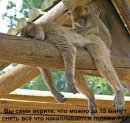 Юлічка Шелест фотография #35 (источник - https://vk.com/id34270265)