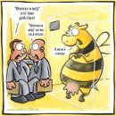 Виктор Гвоздев фотография #46 (источник - https://vk.com/id5472158)