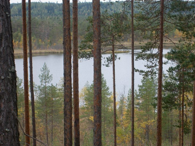 Иван Бородулин фотография #26
