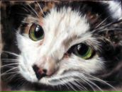 Фотография Гречушников Максим