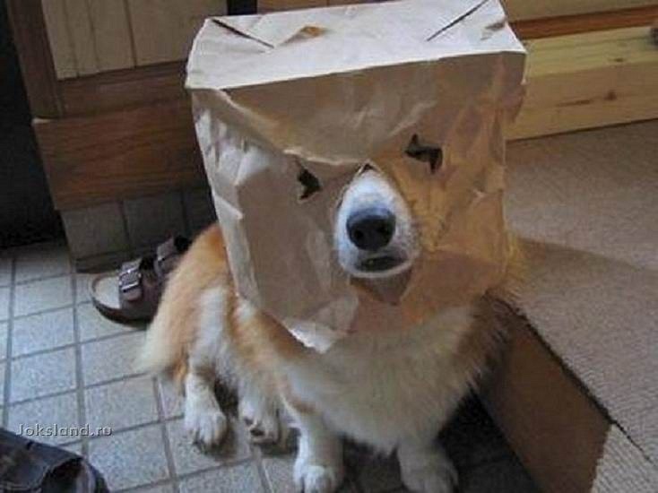 Andy Proff фотография #49