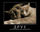 Сергей Семухин фотография #33 (источник - https://vk.com/id9216928)