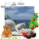 Фотография Леонтьевой Натальи