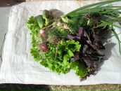 Константин Костин фотография #41 (источник - https://vk.com/id4100683)