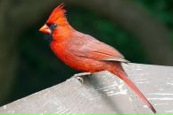 Фотография Деркач Марии