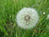 Віка Фоменко фотография #6 (источник - https://vk.com/id13295237)