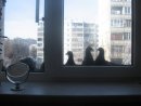 Ігор Косач фотография #25 (источник - https://vk.com/id12742285)