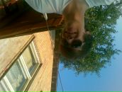 Marcq : dd* фотография #2 (источник - https://vk.com/id90180755)