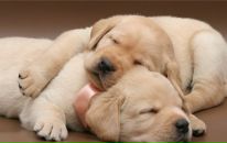 Фотография Острецовой Екатерины