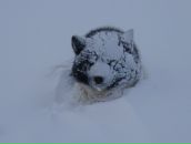 Фотография Михайловой Нади