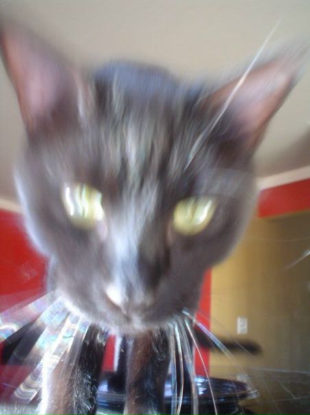 Igor Tarasov фото №44