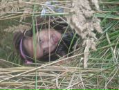 Діана Шпєх фотография #18 (источник - https://vk.com/id91754426)