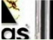 Ігор Бегдай фотография #7 (источник - https://vk.com/id109462267)