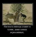 Марія Лебідь фотография #32 (источник - https://vk.com/id59969427)