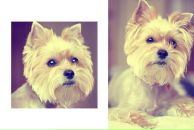 Фотография Новосельцевой Виктории