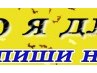 Андріана Кріштоф фотография #29 (источник - https://vk.com/id133320704)