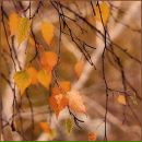 Фотография Приморской Марины