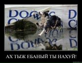 Фотография Прилипы Антона