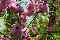 Viktoria Barabanova фотография #16 (источник - https://vk.com/id3774708)