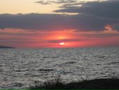 Дмитрий Селентьев фотография #23 (источник - https://vk.com/id418168)