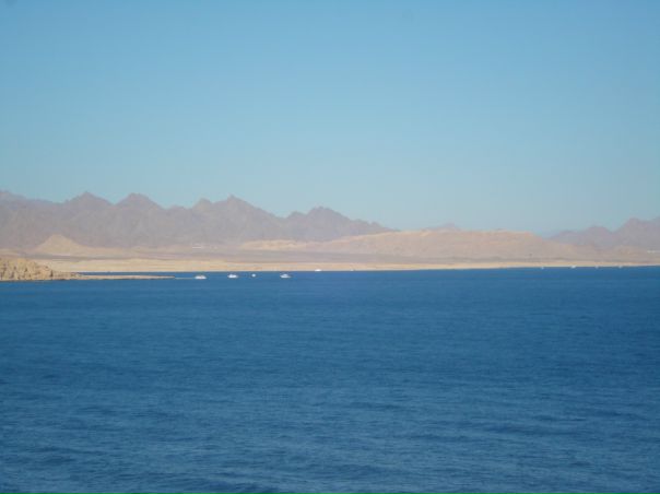 Don Don фото №1