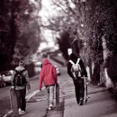 Фотография Терентьева Александра