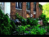 Фотография Олейника Александра