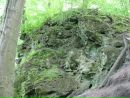 Кріс Візничак фотография #18 (источник - https://vk.com/id88504353)