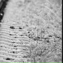 Сергій Сидоренко фотография #43 (источник - https://vk.com/id81606312)