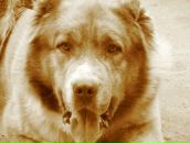 Фотография Зубаревой Натальи