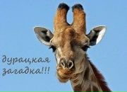 Фотография Викторовой Арины