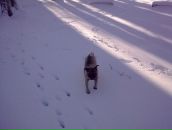 Фотография Зубко Наталии