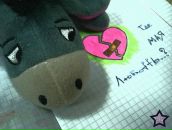 Софійка Никига фотография #46 (источник - https://vk.com/id84161287)