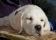 Ірина Хомич фотография #18 (источник - https://vk.com/id52472175)