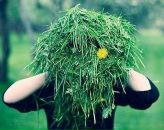 Фотография Роговой Дмитрий