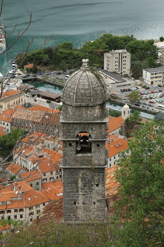 Дмитрий Старицын фотография #14