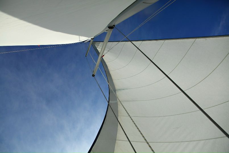 Дмитрий Старицын фотография #45