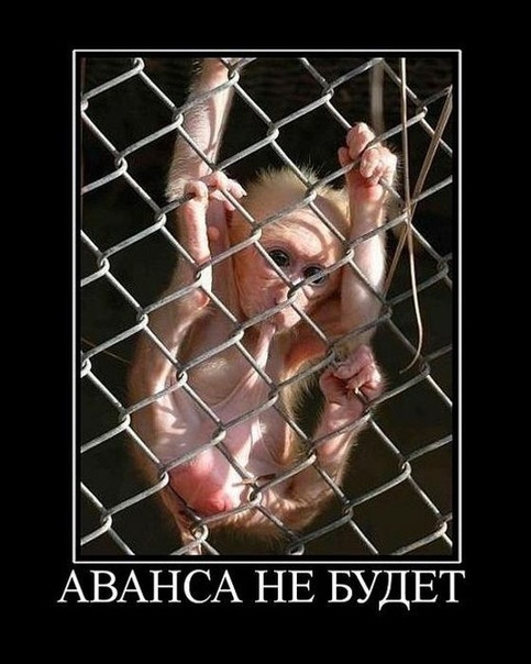 №2, Сергей Дороднов №2, Сергей Дороднов